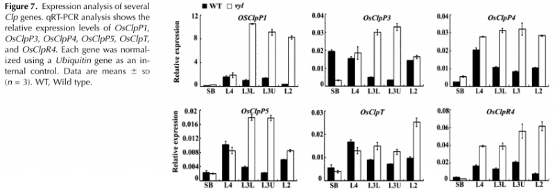 File:Figure 7 .png