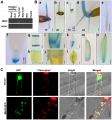 Thumbnail for version as of 13:25, 3 December 2014