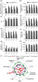 Thumbnail for version as of 13:21, 27 December 2014