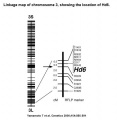 Thumbnail for version as of 16:48, 17 May 2014