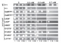 Thumbnail for version as of 07:32, 3 June 2014