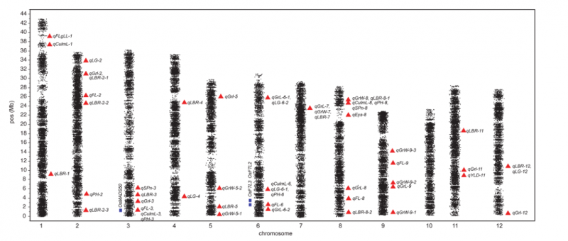File:IC4R007-GWAS-2015-25785447-2.PNG