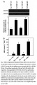 Thumbnail for version as of 07:00, 8 June 2014