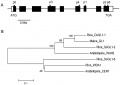 Thumbnail for version as of 06:39, 1 March 2015