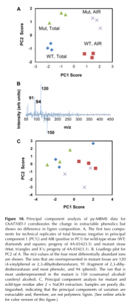 File:Figure 10xxy.png