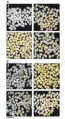 Thumbnail for version as of 03:16, 30 May 2014