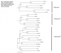 Thumbnail for version as of 03:18, 5 June 2014