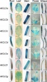 Thumbnail for version as of 07:21, 7 June 2014