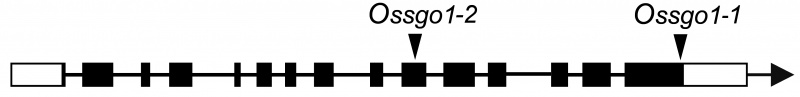 File:Figure S1.jpg