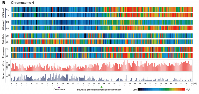 File:IC4R001-Epigenomic-2008-18263775-2.png