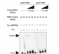 Thumbnail for version as of 14:33, 9 June 2014
