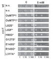 Thumbnail for version as of 08:07, 3 June 2014