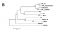 Thumbnail for version as of 15:33, 8 June 2014