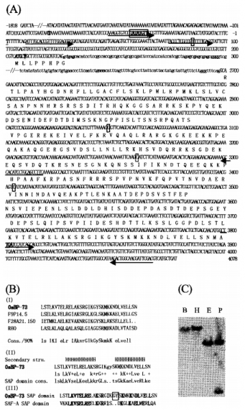 File:48.png