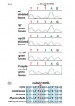 Thumbnail for version as of 14:33, 9 June 2014