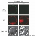 Thumbnail for version as of 01:52, 7 June 2014