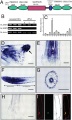Thumbnail for version as of 09:13, 1 June 2014