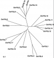 Thumbnail for version as of 16:24, 19 May 2014