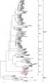 Thumbnail for version as of 05:01, 7 June 2014