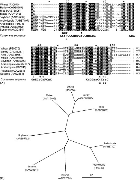 File:Evolution-1.jpg