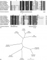 Thumbnail for version as of 15:23, 8 June 2014