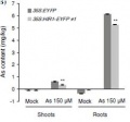 Thumbnail for version as of 16:35, 2 June 2014