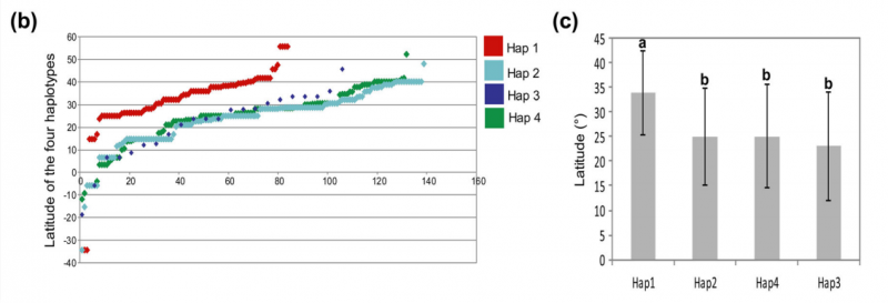 File:IC4R011-GWAS-2016-26381647-f3b.png