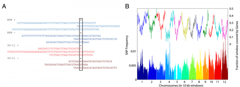 File:IC4R004-Epigenomic-2012-22778444-1.png