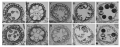 Thumbnail for version as of 05:02, 4 June 2014
