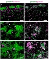 Thumbnail for version as of 10:34, 15 May 2014