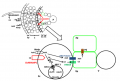 Thumbnail for version as of 04:26, 29 May 2014