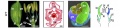 Thumbnail for version as of 08:02, 4 June 2014