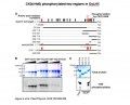 Thumbnail for version as of 03:26, 18 May 2014