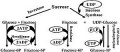 Thumbnail for version as of 02:33, 17 July 2013
