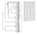 Thumbnail for version as of 01:55, 9 June 2014