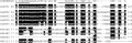 Thumbnail for version as of 12:01, 4 June 2014
