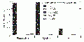 Thumbnail for version as of 06:58, 7 June 2014