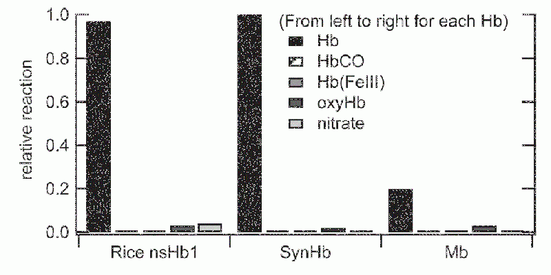 File:Nshb1 Reactivity.GIF