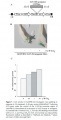 Thumbnail for version as of 03:14, 9 June 2014