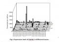 Thumbnail for version as of 11:38, 25 May 2014