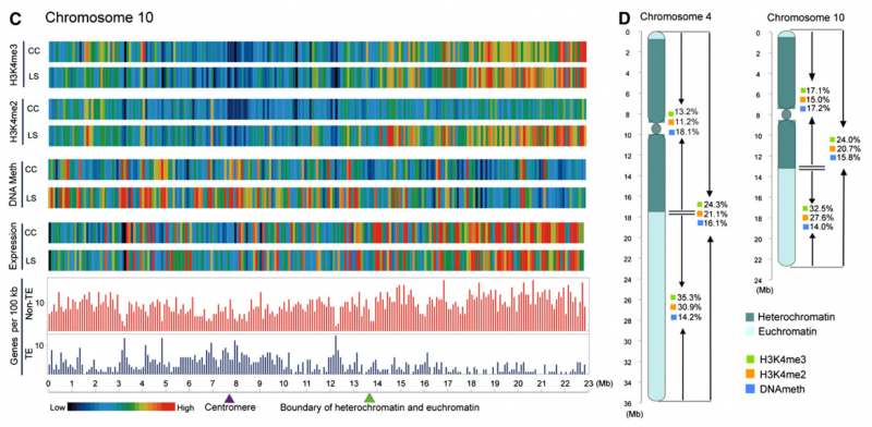 File:IC4R001-Epigenomic-2008-18263775-3.png