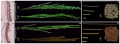 Thumbnail for version as of 13:59, 21 October 2016