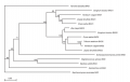 Thumbnail for version as of 10:35, 1 June 2014