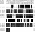 Thumbnail for version as of 01:29, 6 June 2016