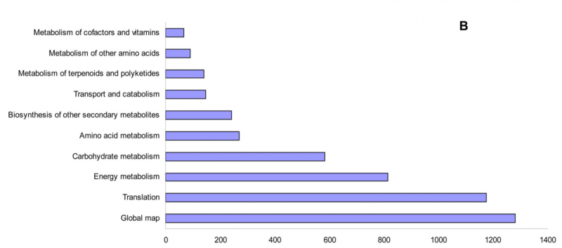 File:Sg7-RNA-Seq-2016-26752408-6.png
