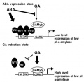 Thumbnail for version as of 04:47, 7 June 2014