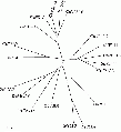 Thumbnail for version as of 12:53, 19 May 2014