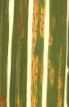 Thumbnail for version as of 11:35, 28 May 2014