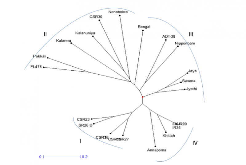File:IC4R007-miRNA-2014-24315823-2.PNG