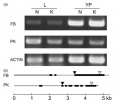 Thumbnail for version as of 14:52, 25 May 2014